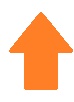 300_pijl.jpg